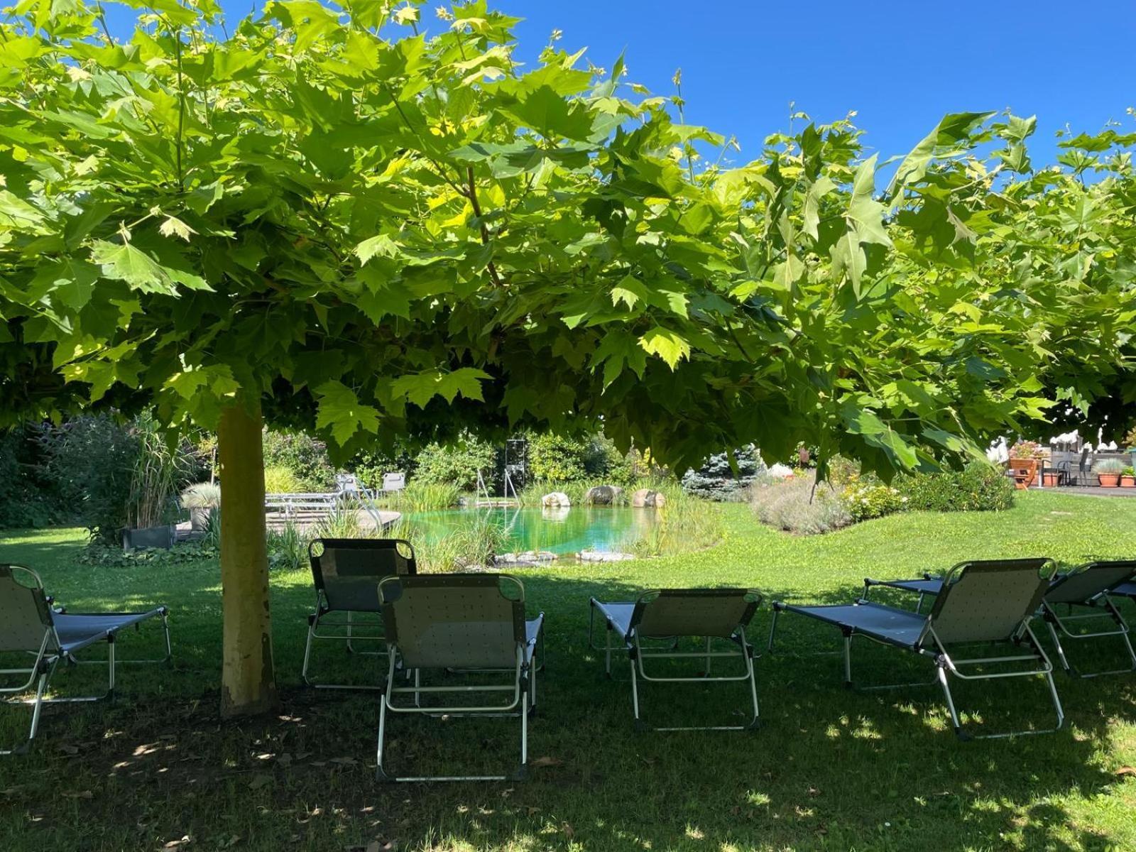 Weinresidenz Sonnleitner - Adults Only Hotel Furth bei Gottweig Buitenkant foto
